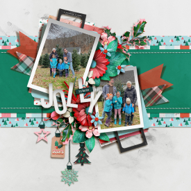 tnp-ONCHRISTMASDAY-LEA.jpg