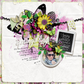 tnp-SPRINGFLING-bundle-LEA.jpg