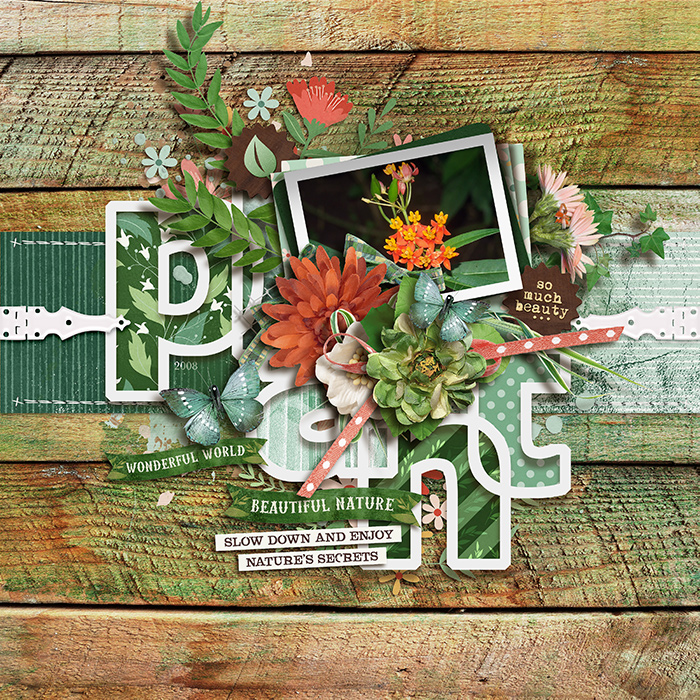 tnp-BLOOM_GROW-2022Sampler