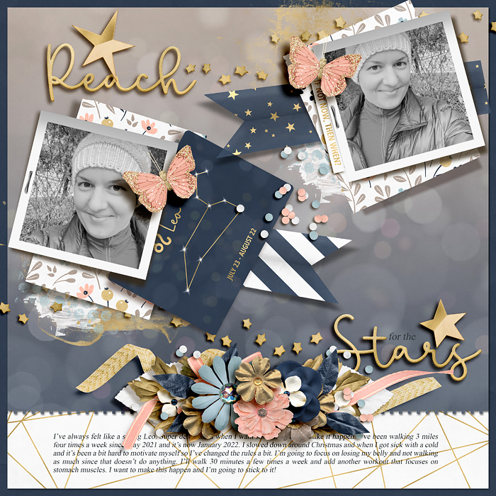 tnp-DSD2020-PageDraft-ponytails-shootforthestars-LEA