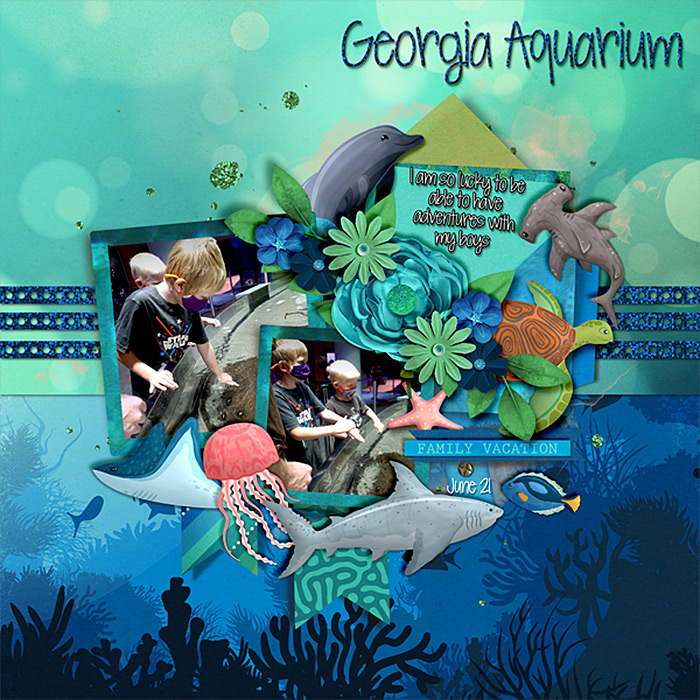 touch-tank-ga-aqr