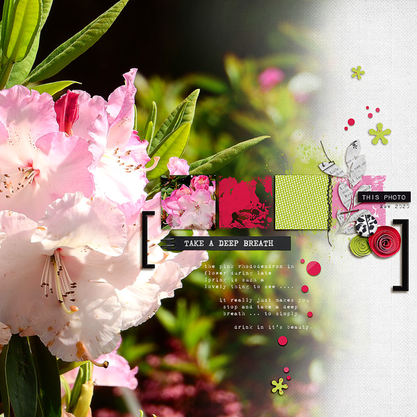 12x12-RHODI---DEEP-BREATH