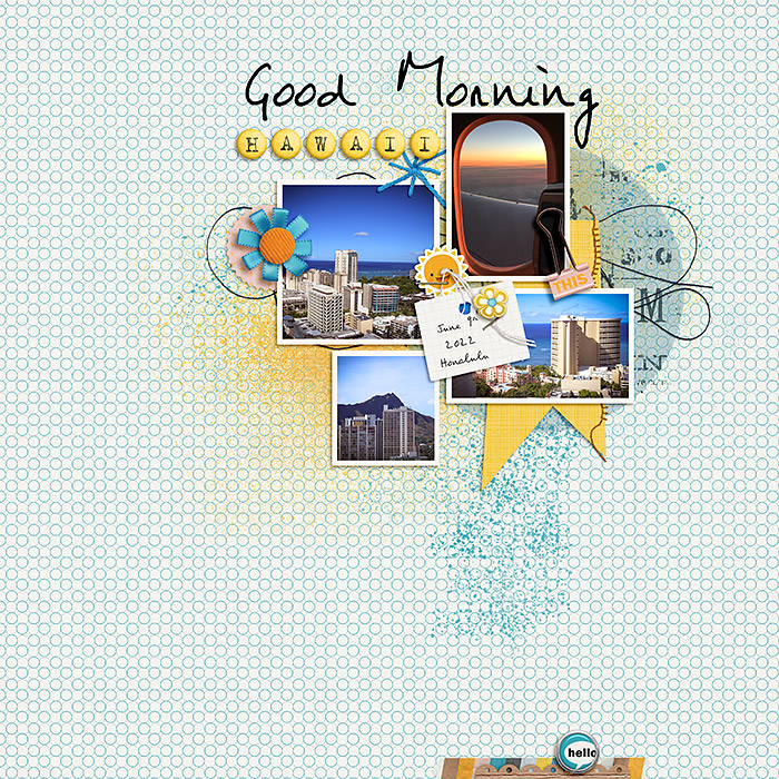 2017-0608-hawaii-morning-arrival700
