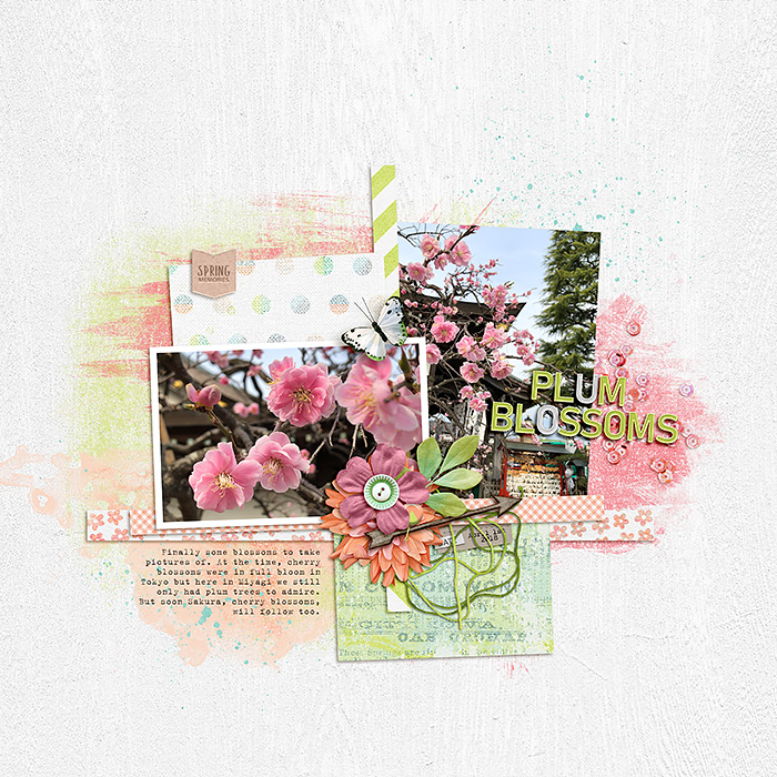 2018-0401-plum-blossoms-yudonosan700