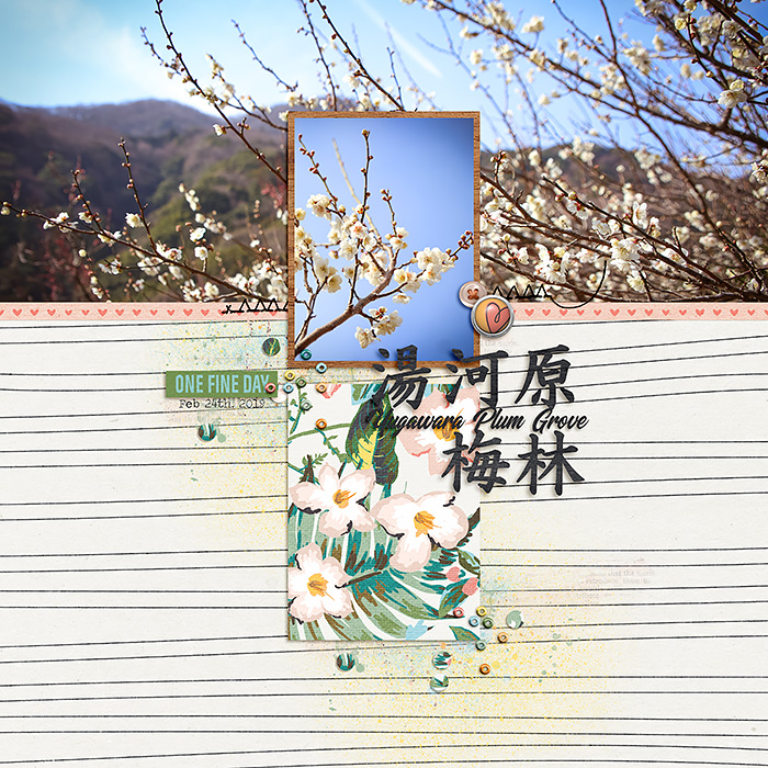 2019-0224-Yugawara02_700