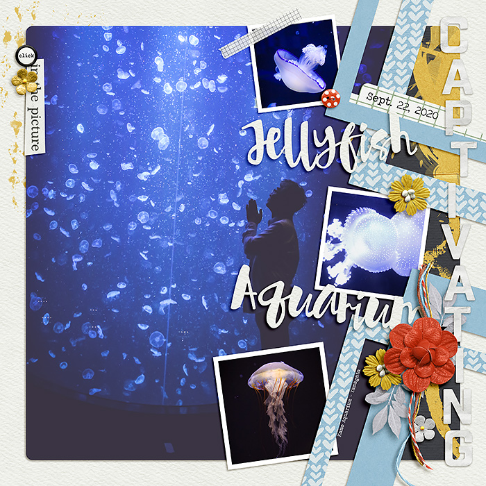 2020-0922-Yamagata-aquarium700