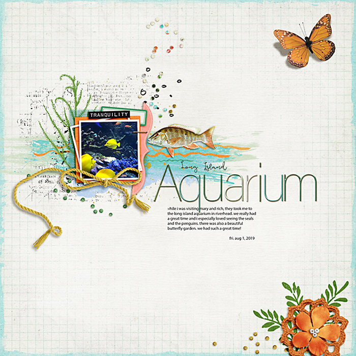 20200306prdaquarium7