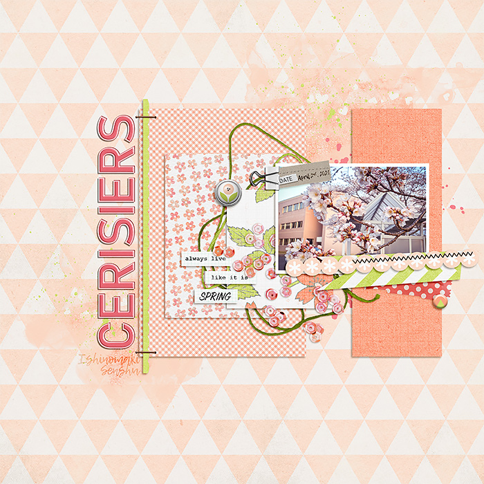 2021-0402-cerisiers-senshu700