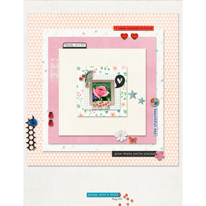 2023-02_February_SSD_0215_Paper-2-Digi_web