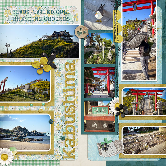 2024-0503-kabushima-seagulls1_700