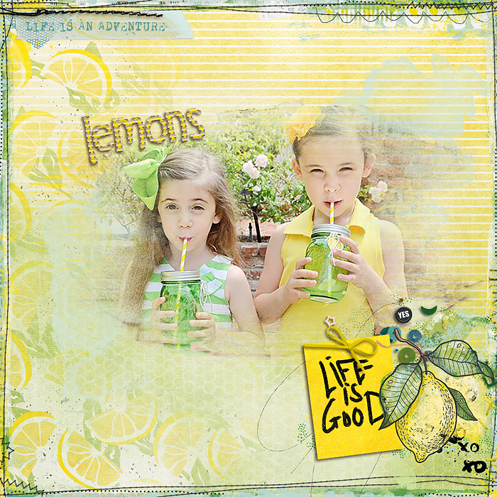 23-05_prd_aboutlemonslife-copy