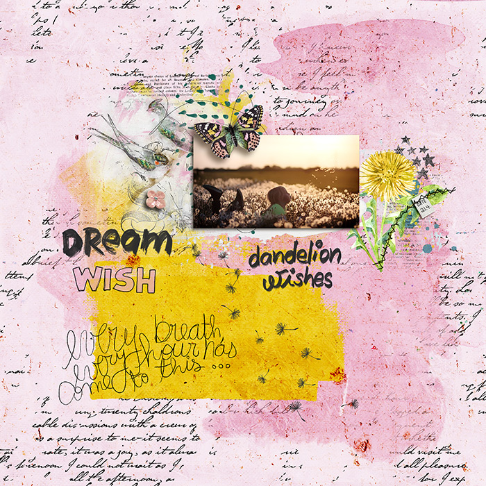 DandelionWishes