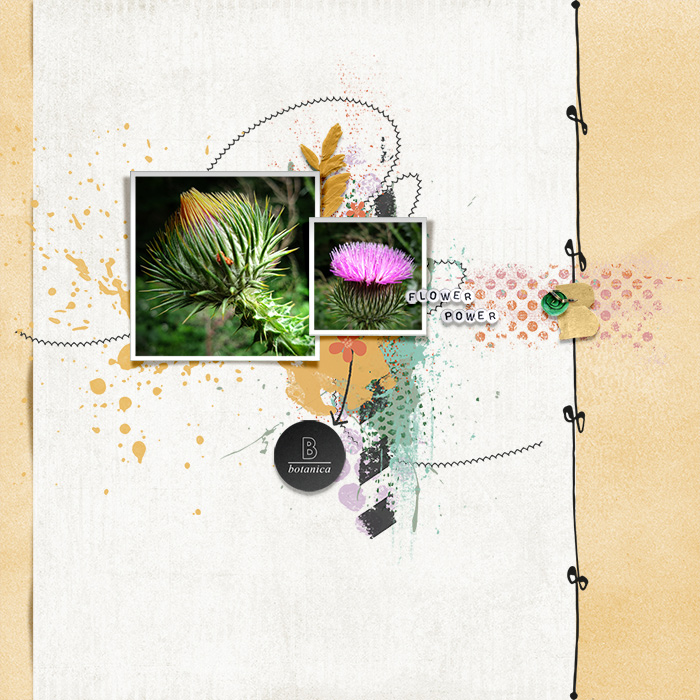 LO2_700_Botanica