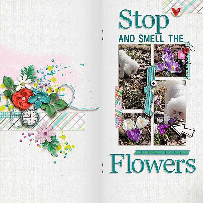 PRD_StopAndSmellTheFlowers_700