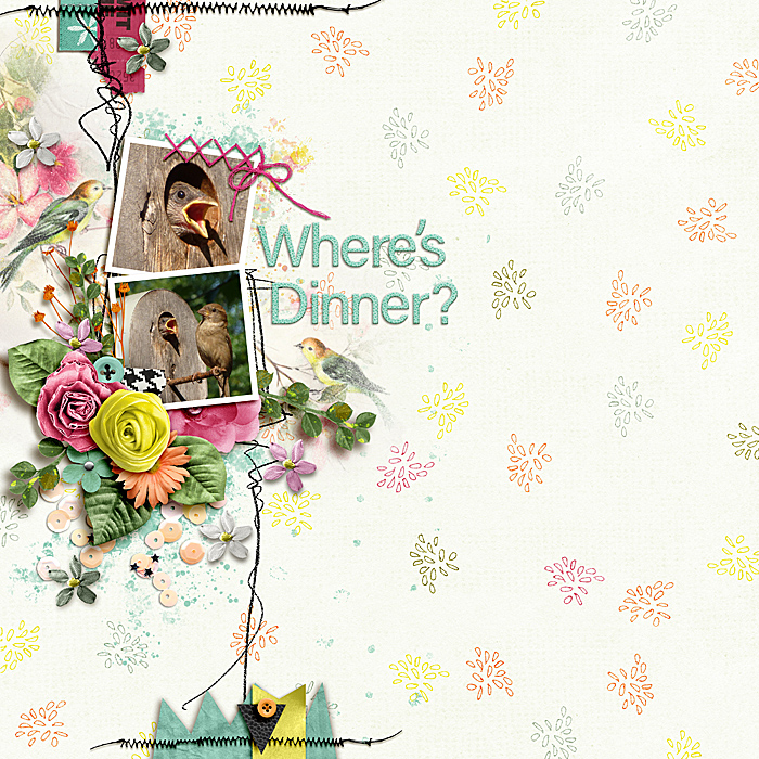 PRD_mar19_Where_sDinner