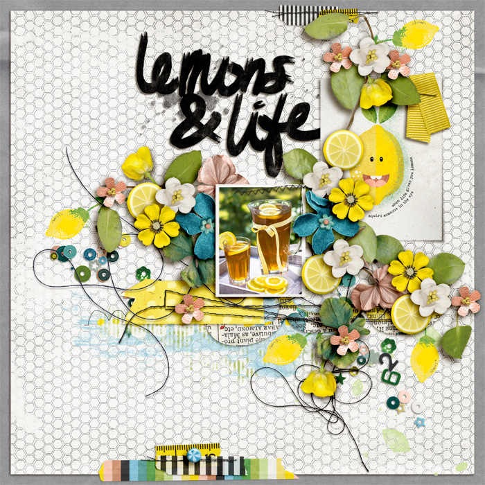 PRD_may6_Lemons_Life