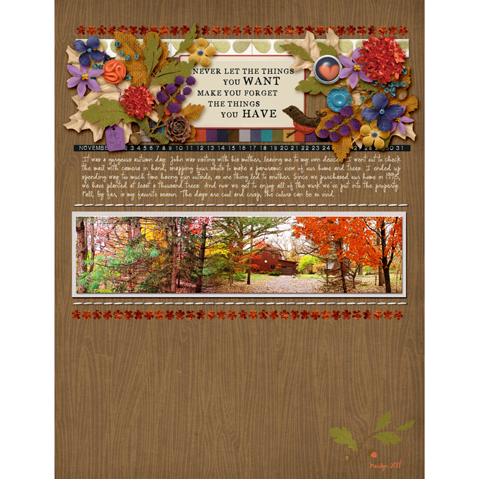 Pink-Reptile-Designs-2018-11-November-SOSN-1128-Gratitude