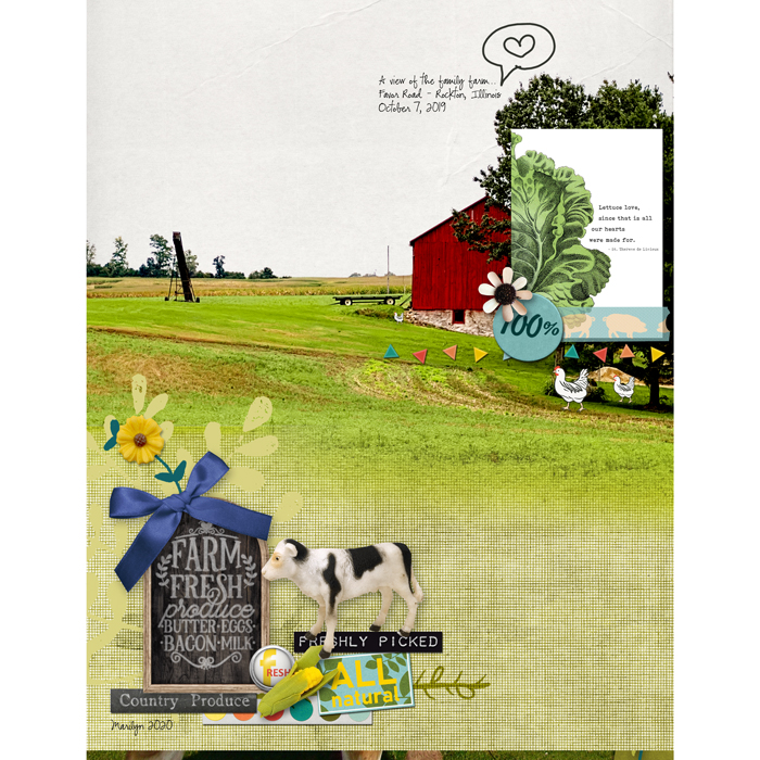 Pink-Reptile-Designs_2020-08_August_SOSN_0819_Farm-Fresh