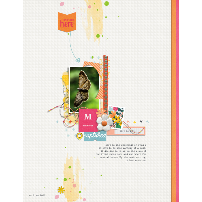 Pink-Reptile-Designs_2021-08_August_Challenge_0815_Moments-Like-This