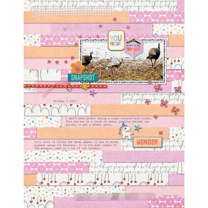 Pink-Reptile-Designs_2021-10_October_SOSN_1013_Younicorn