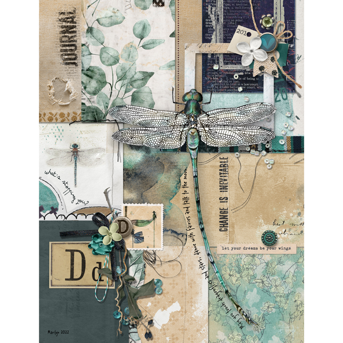 Pink-Reptile-Designs_2022-11_November_New_1125_Anisoptera_pocket-Page_web