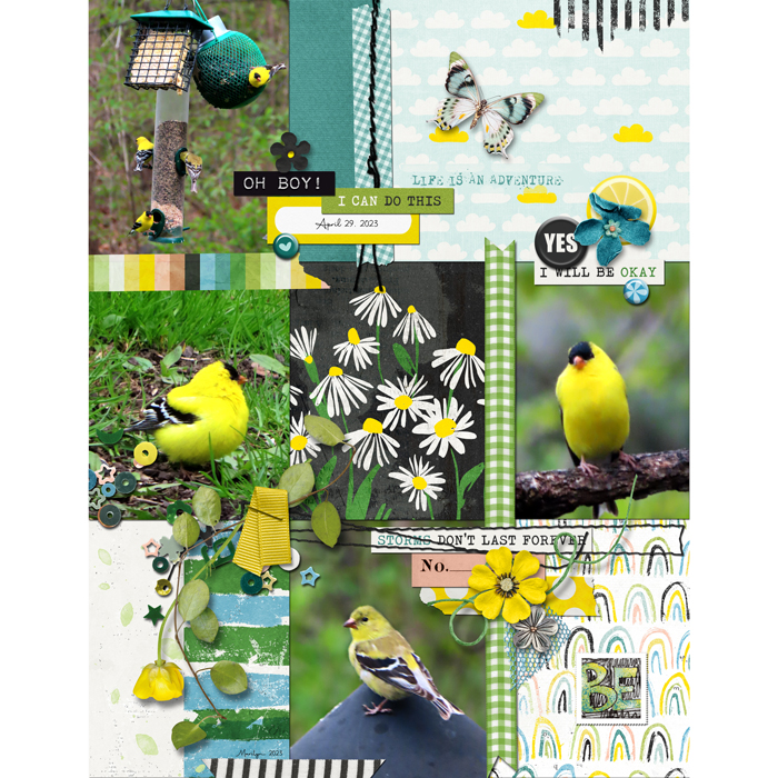 Pink-Reptile-Designs_2023-0506_About-Lemons-_-Life_web