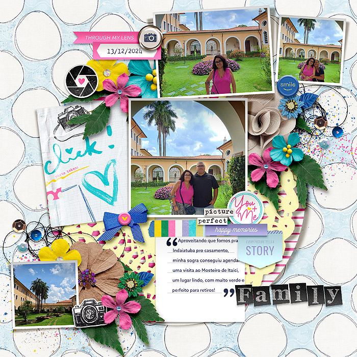 Soco_PicturePerfect_Ferdy1-copiar