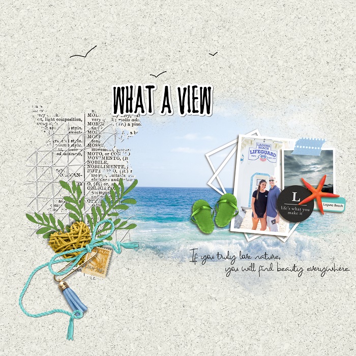 WHAT_A_VIEW_1