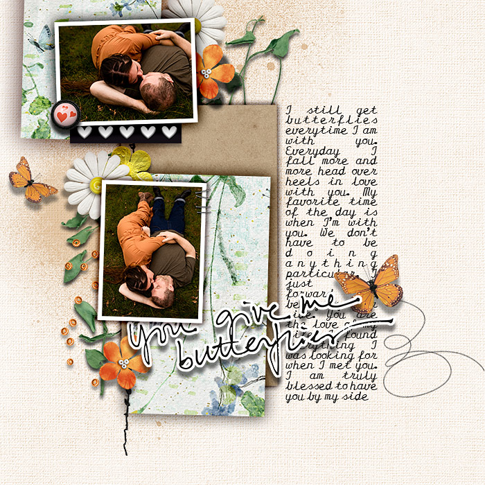 butterflies7
