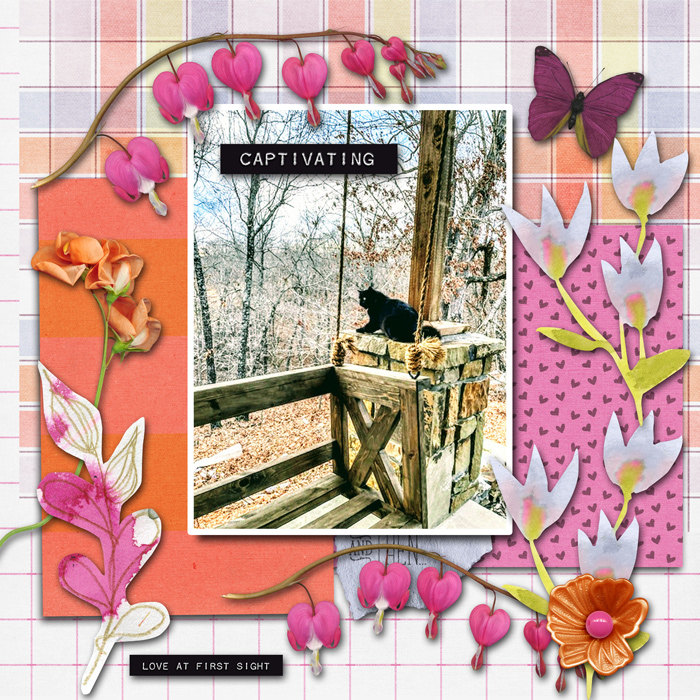 captivated_releasing_2_26