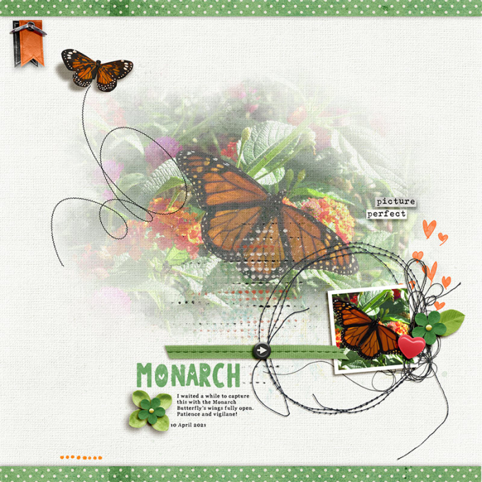 Monarch