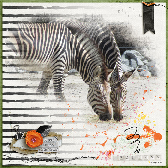 Zebras