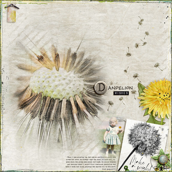 Dandelion Wishes
