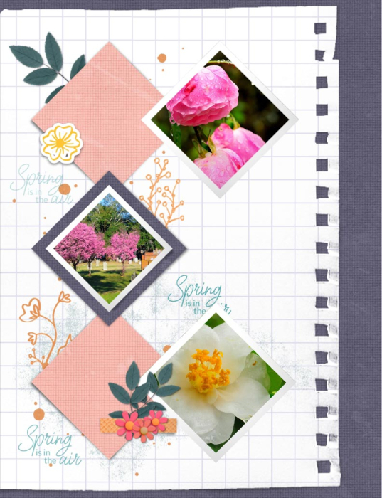 prd_224Challenge