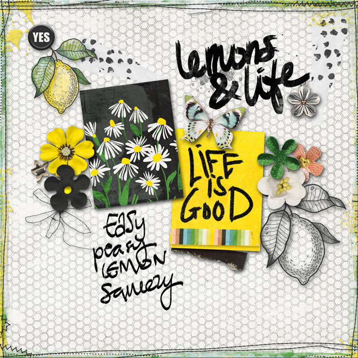 prd-about_lemons-and-life