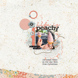 2020-0726-Nasu-peach-icecream700.jpg