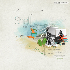 202202011prdrwvShell7.jpg