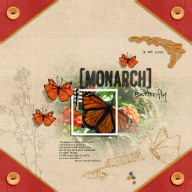 20220607prdMonarch7.jpg