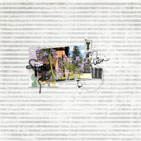 LO1_700_Botanica.jpg