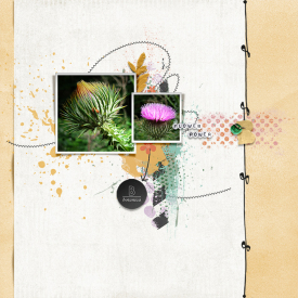 LO2_700_Botanica.jpg