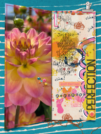 Like-a-Dahlia.jpg