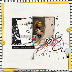 LimitedEdition-002_72.jpg