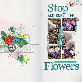 PRD_StopAndSmellTheFlowers_700.jpg