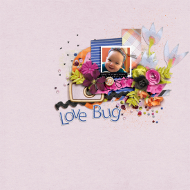 PRD_feb26_LoveBug.jpg