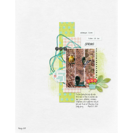 Pink-Reptile-Designs_2019-04_April_SOSN_0403_TalesOfSpring_web700.jpg