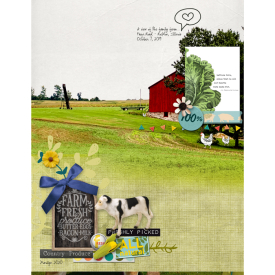 Pink-Reptile-Designs_2020-08_August_SOSN_0819_Farm-Fresh.jpg