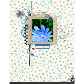 Pink-Reptile-Designs_2021-07_July_SOSN_0707_Wildflower_web.jpg
