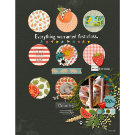 Pink-Reptile-Designs_2021-08_August_SOSN_0825_Farm-Fresh.jpg