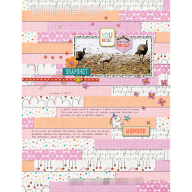 Pink-Reptile-Designs_2021-10_October_SOSN_1013_Younicorn.jpg