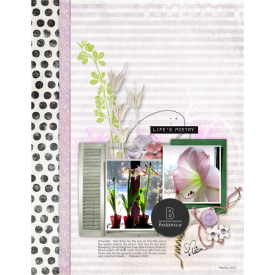 Pink-Reptile-Designs_2022-05_May_iNSD_0507_Botanical_collab-with-FDD_web.jpg
